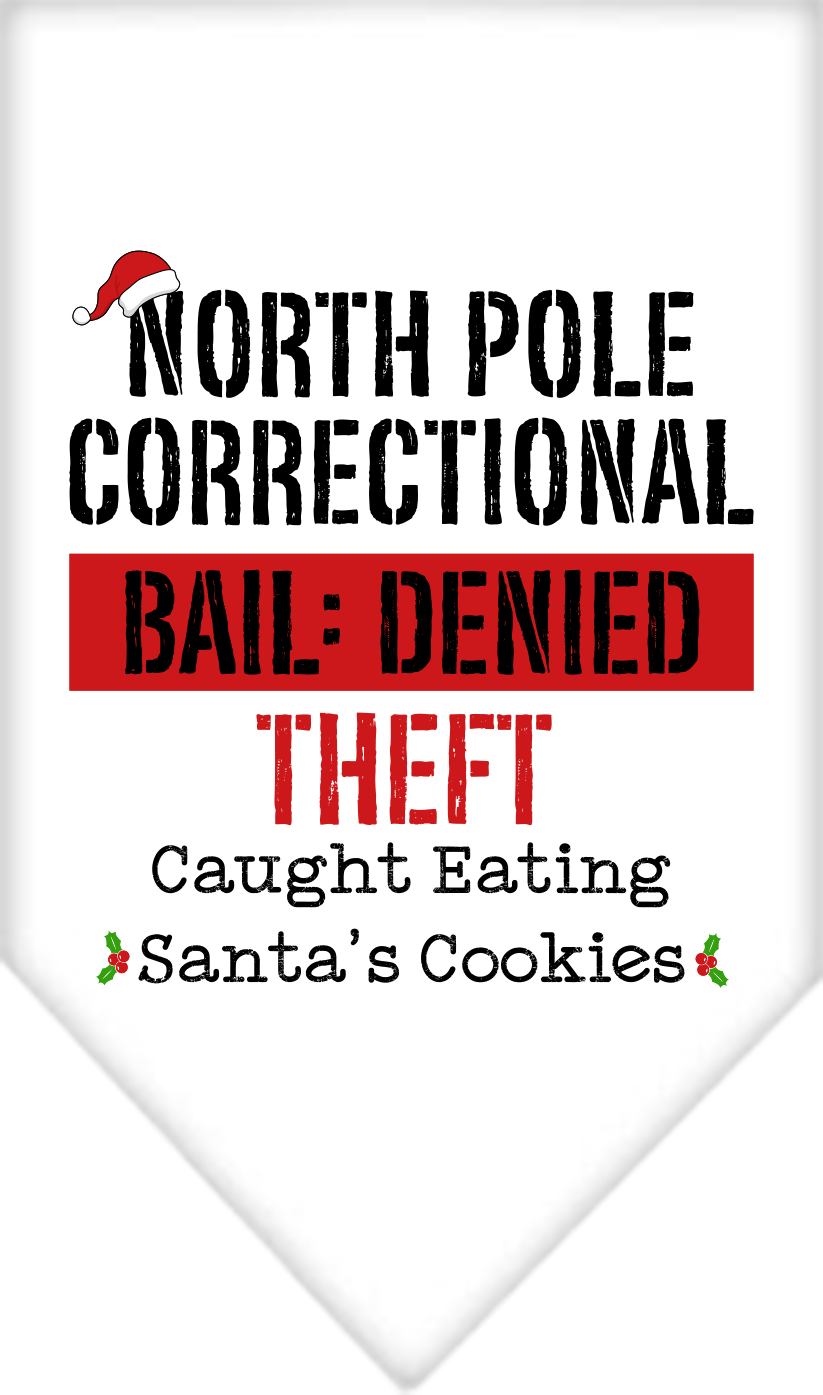 North Pole Correctional Screen Print Bandana White Size Large
